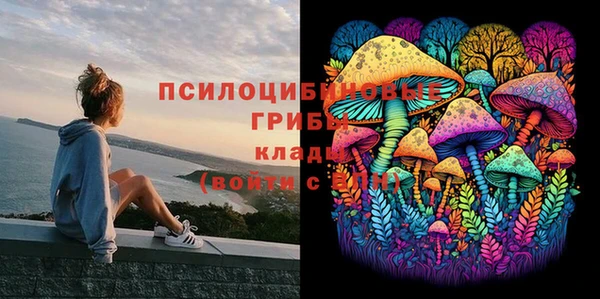 СК Пролетарск
