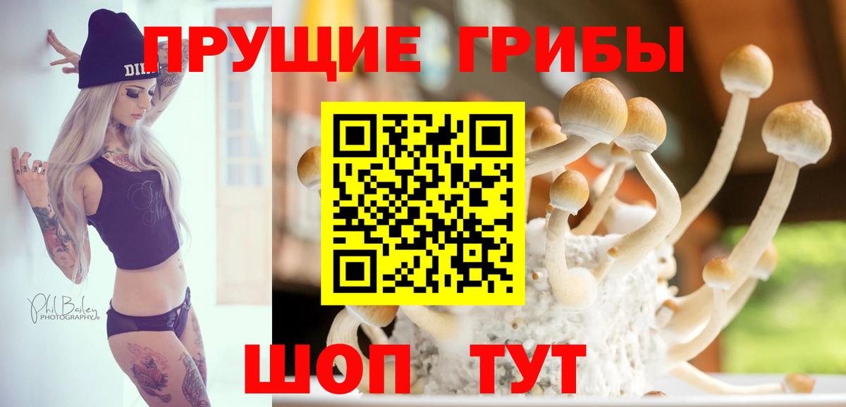 Галлюциногенные грибы GOLDEN TEACHER Сорочинск
