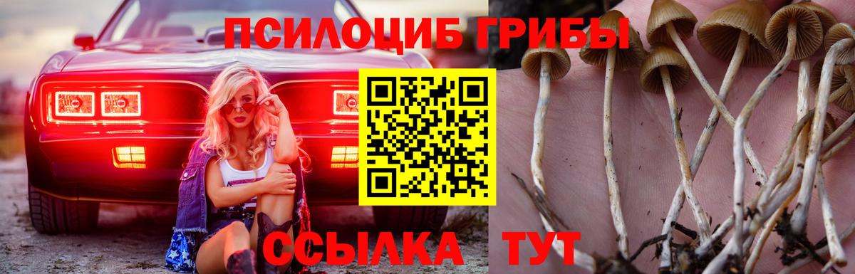 Сорочинск  Галлюциногенные грибы Psilocybe  Вход с VPN  Псилоцибиновые грибы Psilocybine cubensis 
